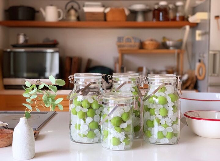 植えた覚えがないのにモノが20本も…!!畑を始めて驚いたこと