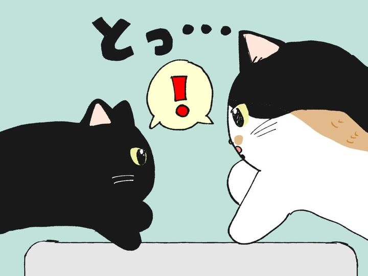 仁義なき戦い【てらねこミー子の日常】