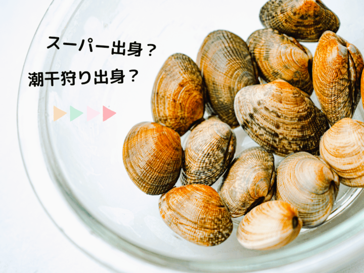 【あさりの砂抜き】スーパーで買った子と、潮干狩りで採った子。それぞれのやり方!もう食べてる途中でガリッ…とならない!!