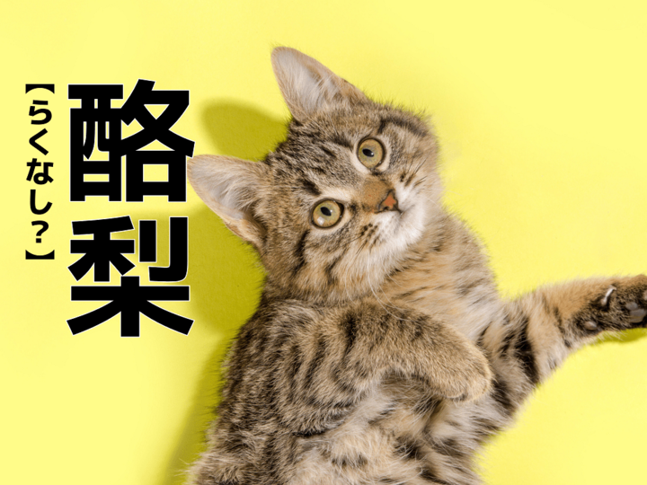 「酪梨」「桜桃」なんて読む?どちらもフルーツの名前です【読めないと恥ずかしい漢字クイズ】