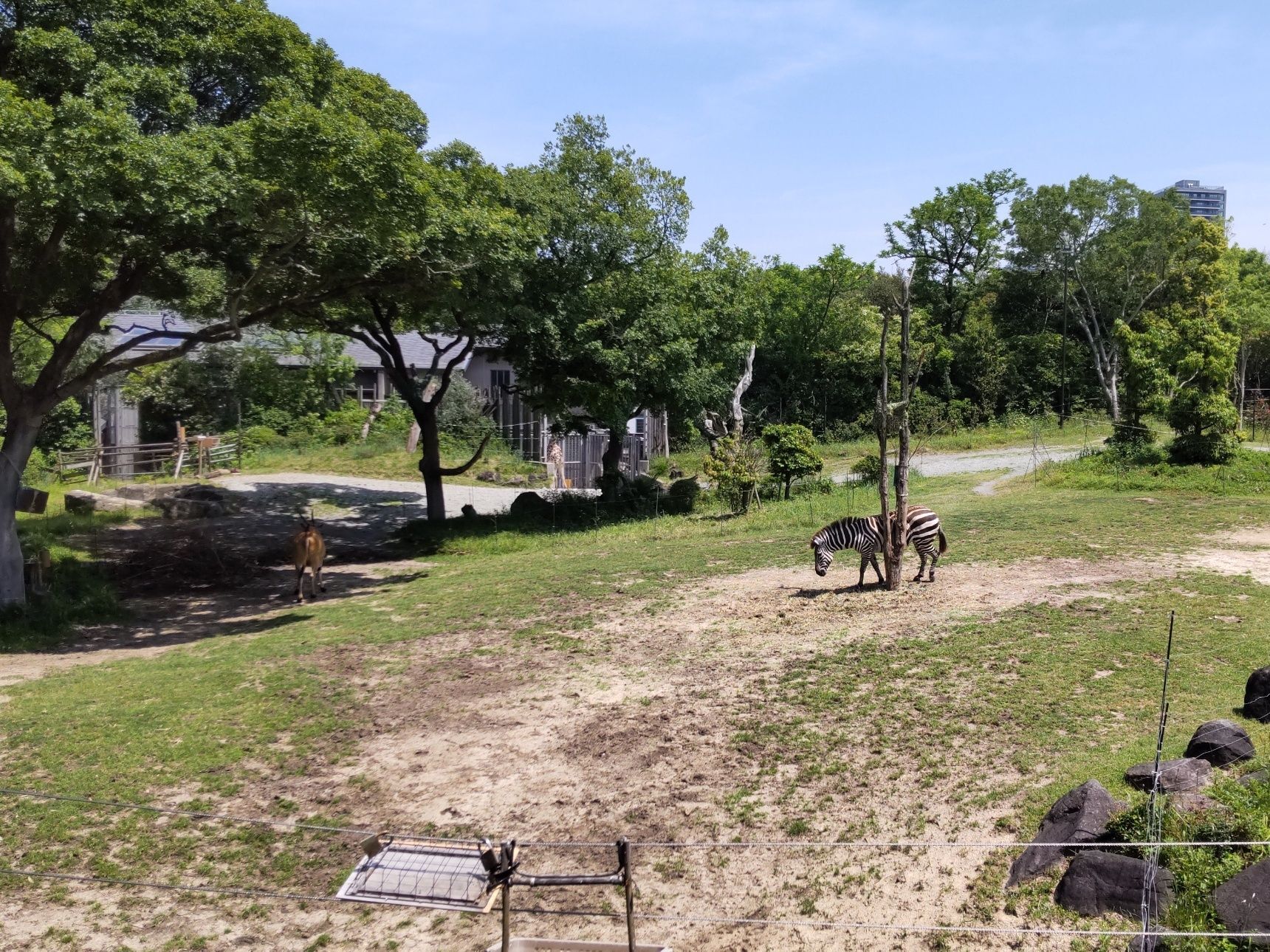 天王寺動物園へ訪れた際には･･･