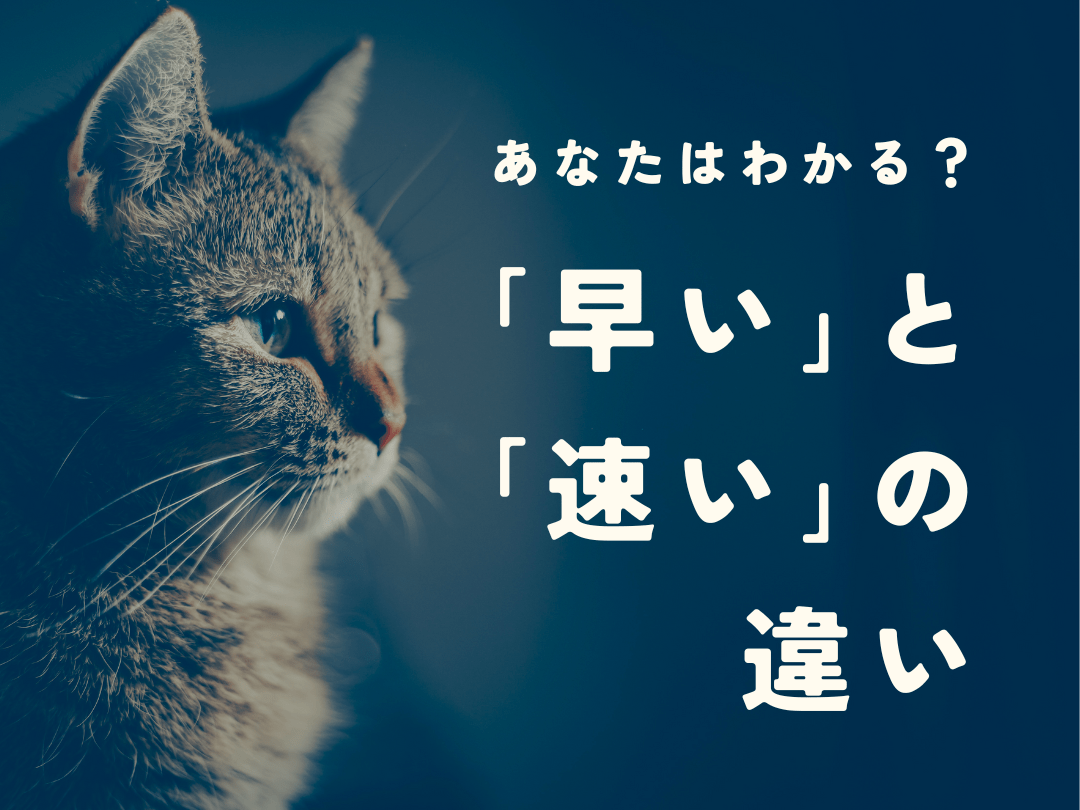 「早い」と「速い」の意味の違いは?「スピードがはやい」はどっちを使う?|暮らしニスタ