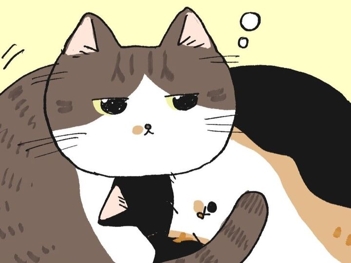 気高いひーちゃんがムギュムギュと…?【てらねこミー子の日常】