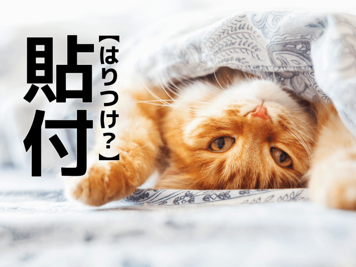 【貼付】は「はりつけ」ではありません!何と読む?【簡単そうで読めない漢字クイズ】