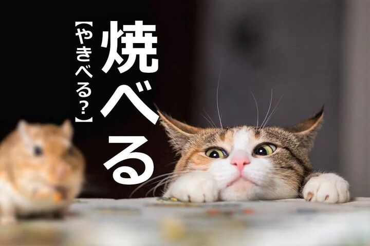 【焼べる】を「やきべる」と読むと笑われます!【読めないと恥ずかしい漢字クイズ】