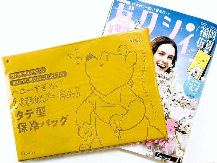 タテ型の保冷バッグ、めっちゃイイ!!【付録】これは夏の買い物に大活躍の予感~~~♡