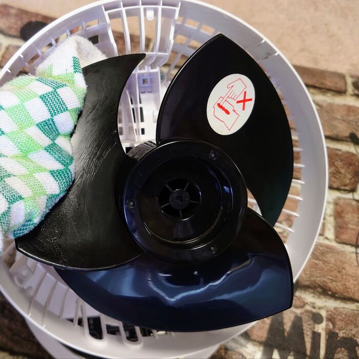 羽根の裏もしっかり塗りこむ