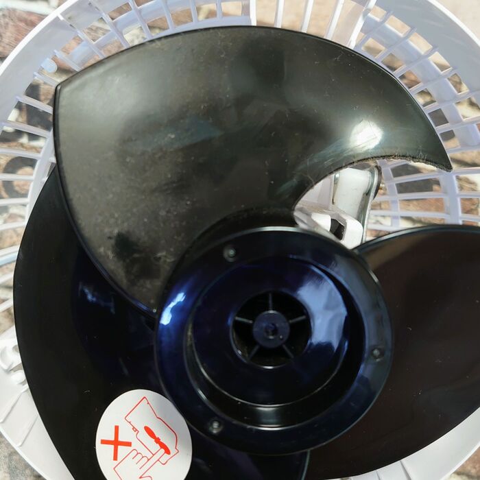 比較用に塗ってなかった羽根部分がコレ。拡大して見てね