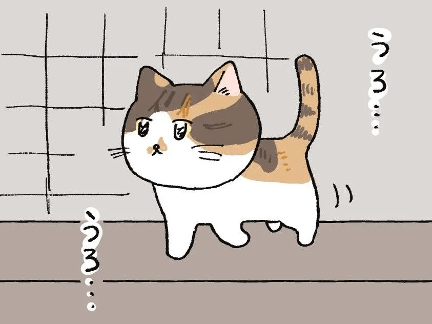 ウロウロしている理由【てらねこミー子の日常】