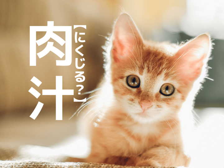 【肉汁】は「にくじる」ではありません!【読めないと恥ずかしい漢字クイズ】