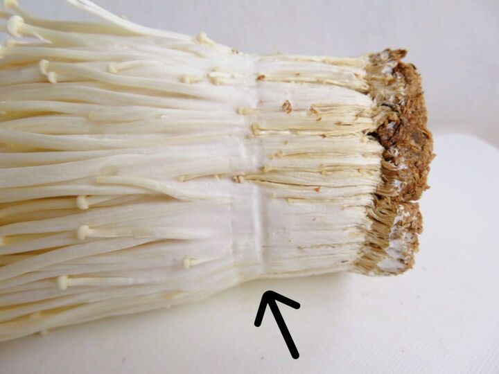 意外と知らない【きのこの切り方4選】食べられる部分も捨ててるかも!?そこは切っちゃダメ~!