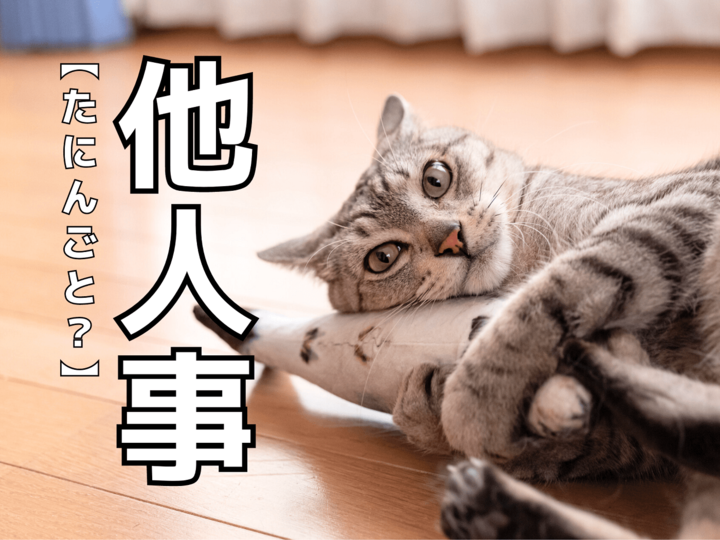 【他人事】を「たにんごと」と読むと笑われます!【読めないと恥ずかしい漢字クイズ 】