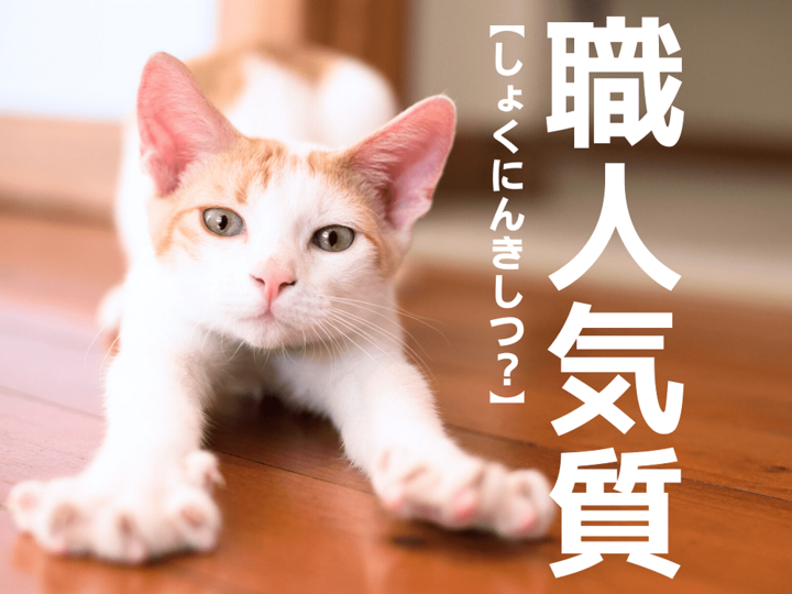 【職人気質】を「しょくにんきしつ」と読むと笑われます!【読めないと恥ずかしい漢字クイズ】
