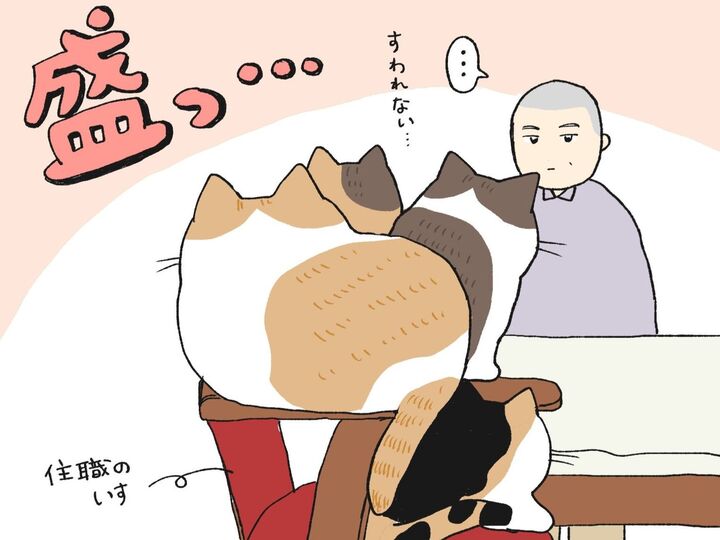 ねこたちは今日もソコにいる【てらねこミー子の日常】