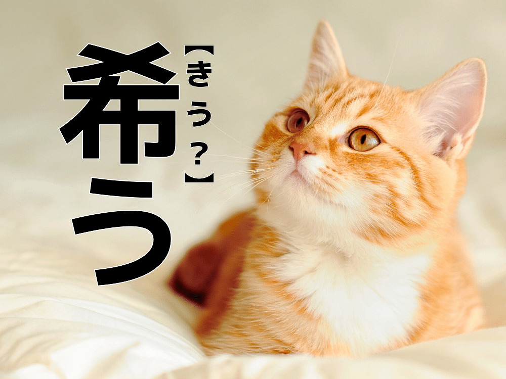 【希う】を「きう」と読むと笑われます！【読めないと恥ずかしい漢字クイズ】