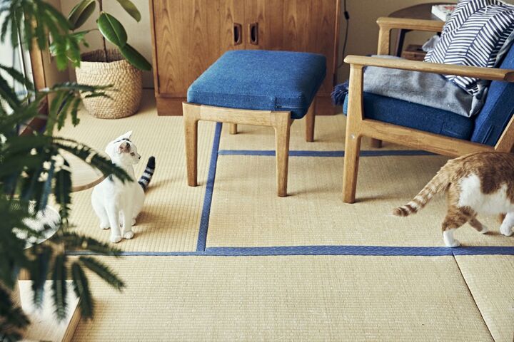 〈築33年の和室を、おしゃれにまとめるコツ〉人気イラストレーターがとことんこだわったお気に入りの家具とは?