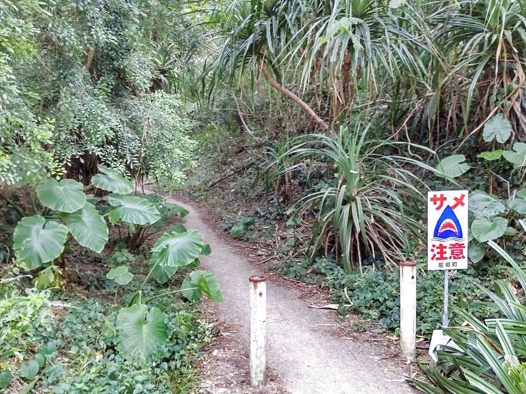 こちらに行くには、このような小道をしばし、通り抜けないといけないんです。