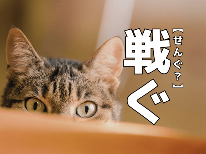 【戦ぐ】を「セング」と読んだら笑われます!【読めないと恥ずかしい漢字クイズ】