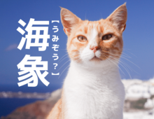 【海象】を「うみぞう」と読むと笑われます！【読めないと恥ずかしい漢字クイズ】