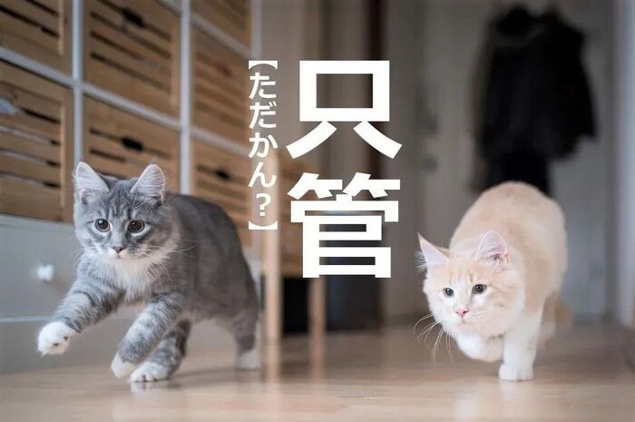 【戦ぐ】を「セング」と読んだら笑われます!【読めないと恥ずかしい漢字クイズ】 2ページ目|暮らしニスタ