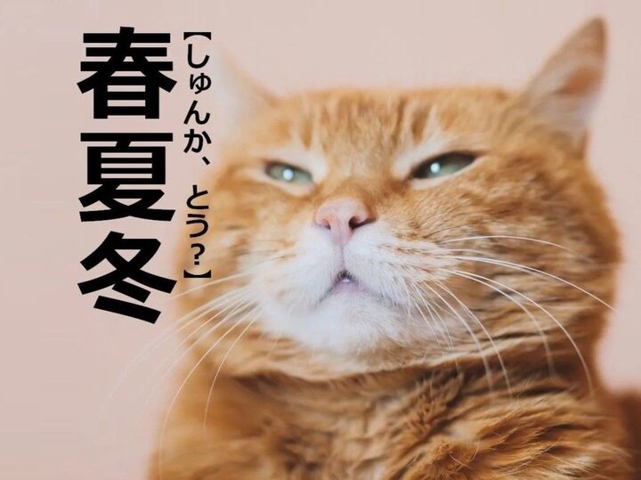 【春夏冬】を「しゅんか、とう」と読むと笑われます!答えを知ると「トンチみたい(笑)」|読めないと恥ずかしい漢字クイズ