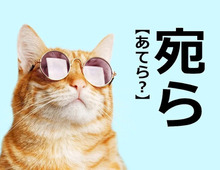 【宛ら】を「あてら」と読むと笑われます！【読めないと恥ずかしい漢字クイズ】