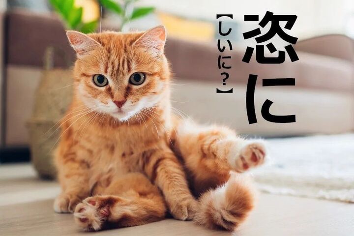 【恣に】を「しいに」と読むと笑われます!【読めないと恥ずかしい漢字クイズ】