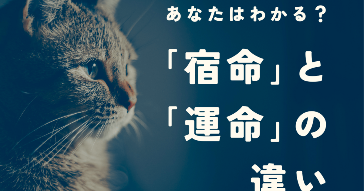 宿命」と「運命」の違いや例文を紹介！英語ではどう書く？｜暮らしニスタ