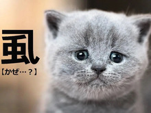 【虱】を雰囲気で「かぜ」と読んだらダメ（笑）！正しい読み方は？【読めないと恥ずかしい漢字クイズ】