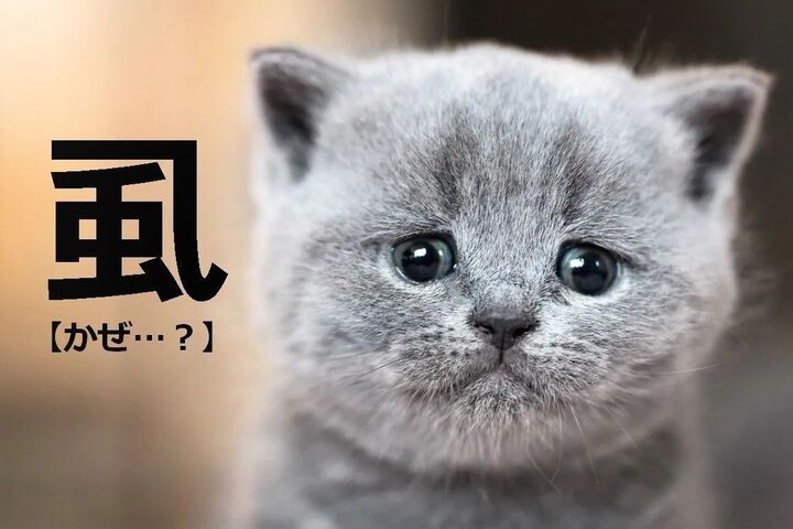 【虱】を雰囲気で「かぜ」と読んだらダメ(笑)!正しい読み方は?【読めないと恥ずかしい漢字クイズ】