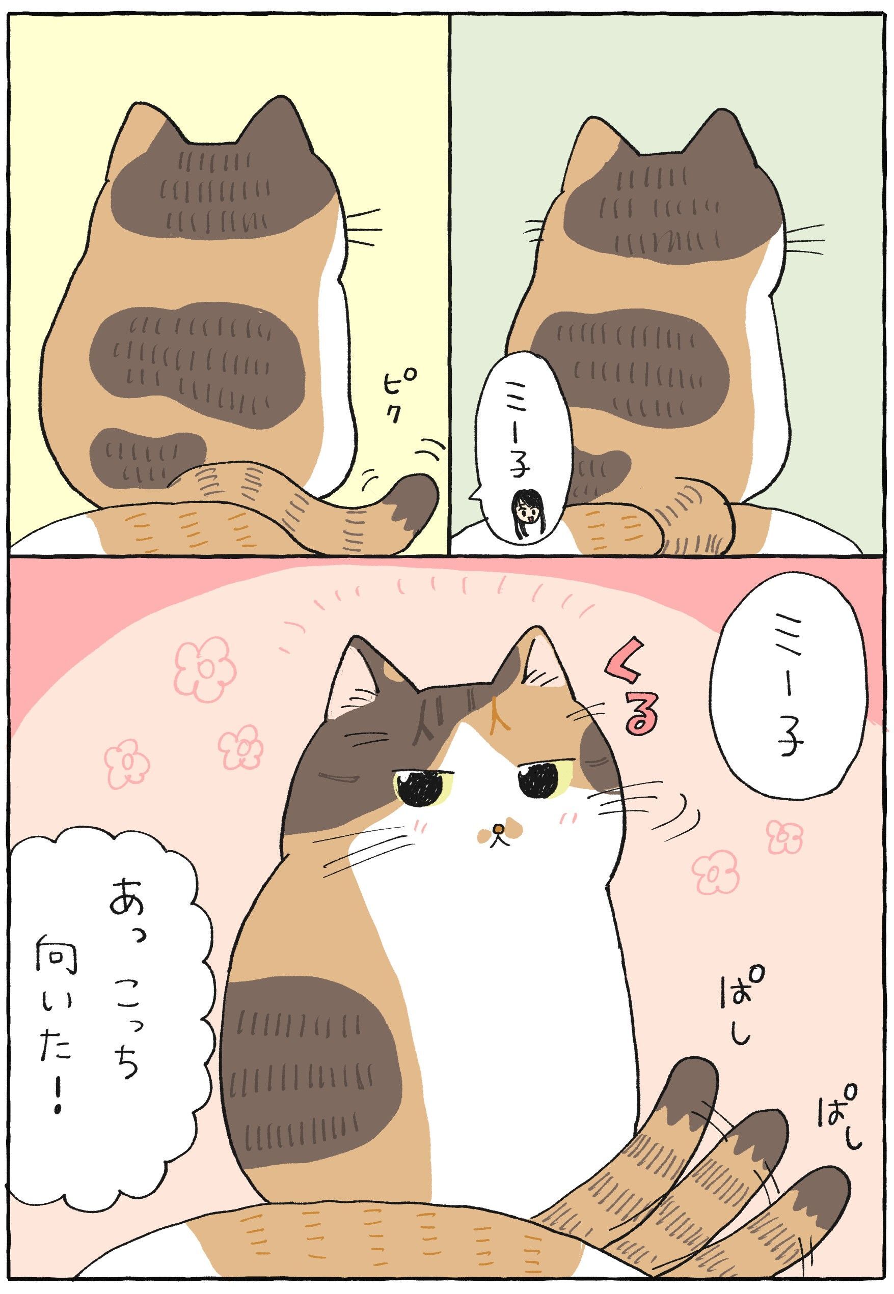 ねねこ♡7点 
