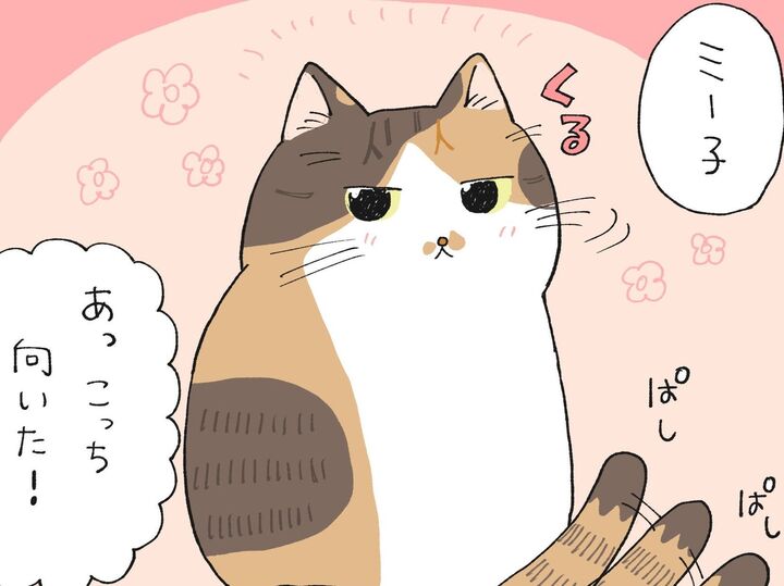 うれしいねこと、巻き添えねこ【てらねこミー子の日常】