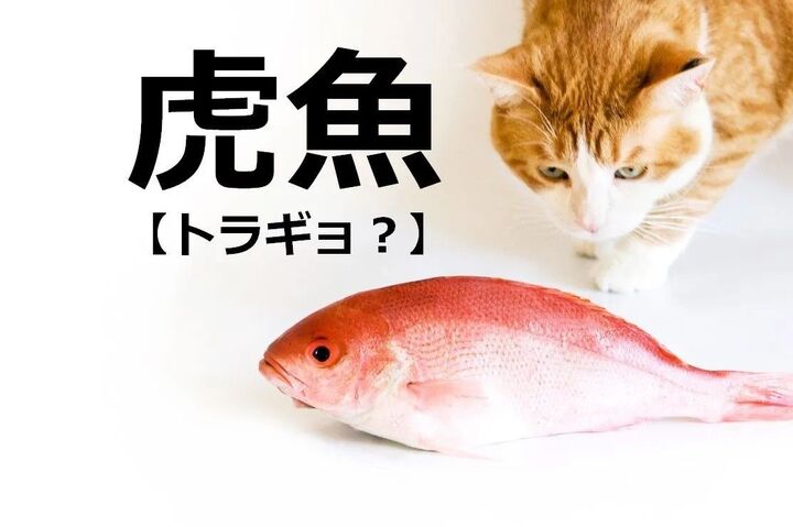 【虎魚】の読み方わかる?【読めないと恥ずかしい漢字クイズ】