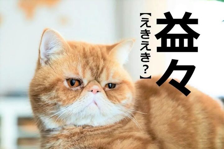 【益々】を「えきえき」と読むと笑われます!【読めないと恥ずかしい漢字クイズ】