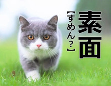 【素面】を「すめん」と読むと笑われます！【読めないと恥ずかしい漢字クイズ】