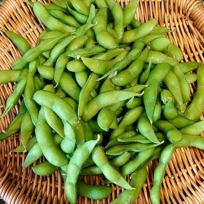 【枝豆の皮】簡単に剥けるよ!!☆大人の自由研究☆|生活のアイデア|暮らしニスタ