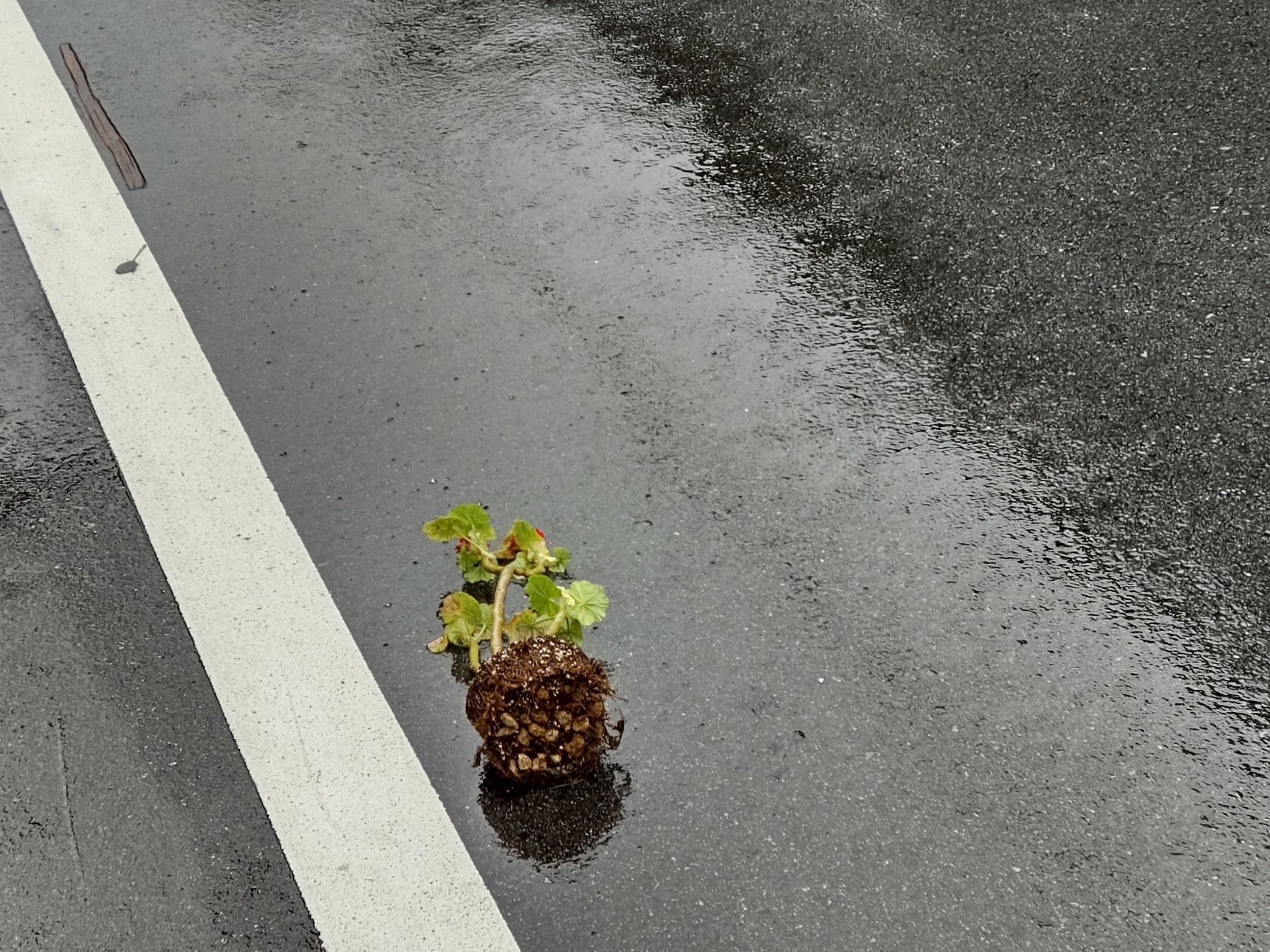 大阪在住です、台風が接近した時のこと。