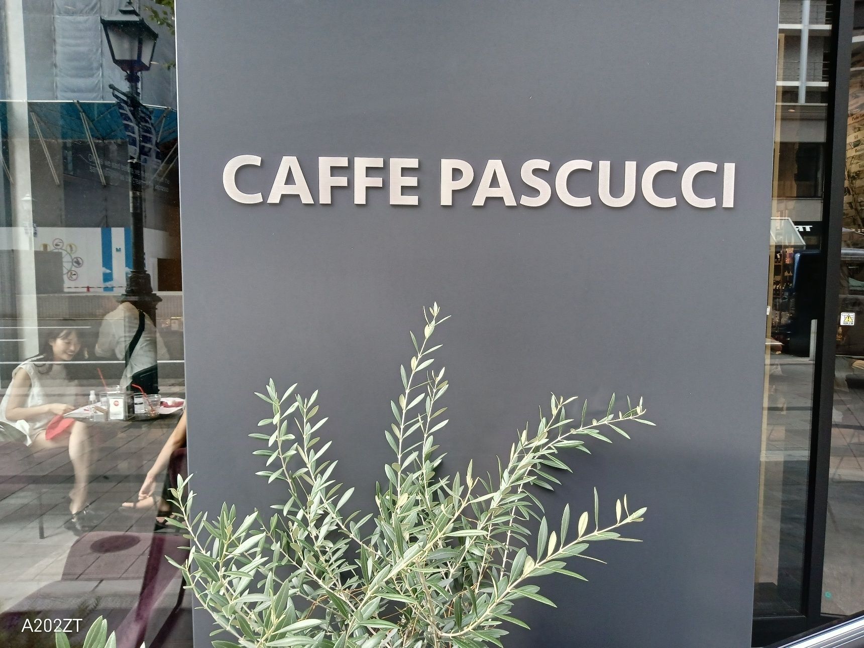 今日のespressobreak 『Caffe Pascucci』　