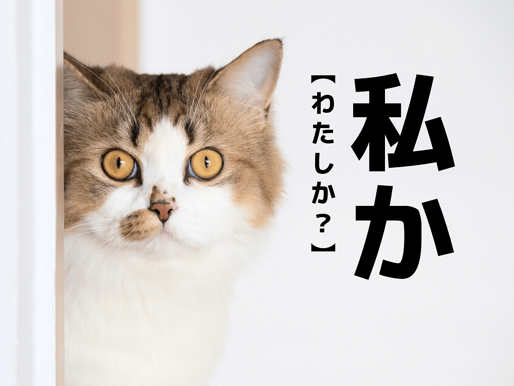 【私か】をそのまま「ワタシか」と読んだらダメ（笑）！なんて読む？【読めないと恥ずかしい漢字クイズ】