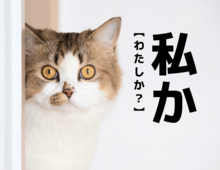 【私か】をそのまま「ワタシか」と読んだらダメ（笑）！なんて読む？【読めないと恥ずかしい漢字クイズ】