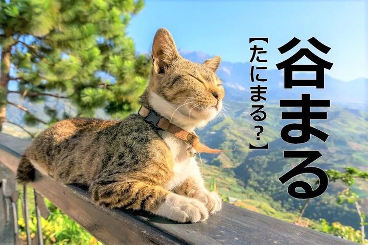 【谷まる】を「たにまる」と読むと笑われます!【読めないと恥ずかしい漢字クイズ】