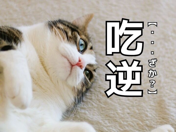 【吃逆】なんて読む?答えがわかると「あー、なるほど!!」【読めたらスゴイ漢字クイズ】