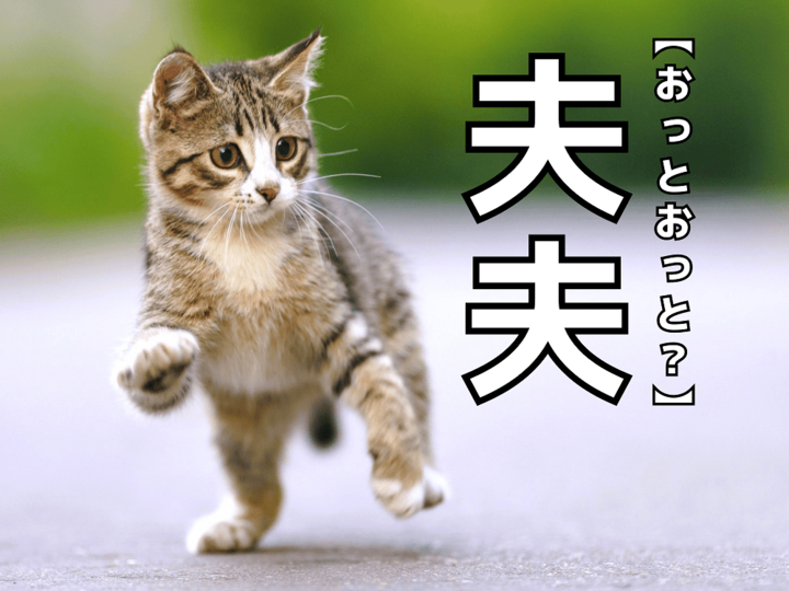 【夫夫】を「おっとおっと」と読むと笑われます!【読めないと恥ずかしい漢字クイズ】