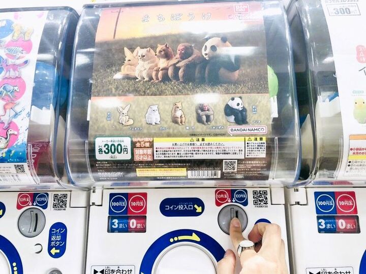 完全にオトナ向け。【絶妙ガチャ】BEST3!!