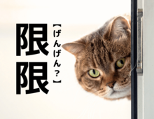 【限限】を「げんげん」と読むと笑われます！【読めないと恥ずかしい漢字クイズ】