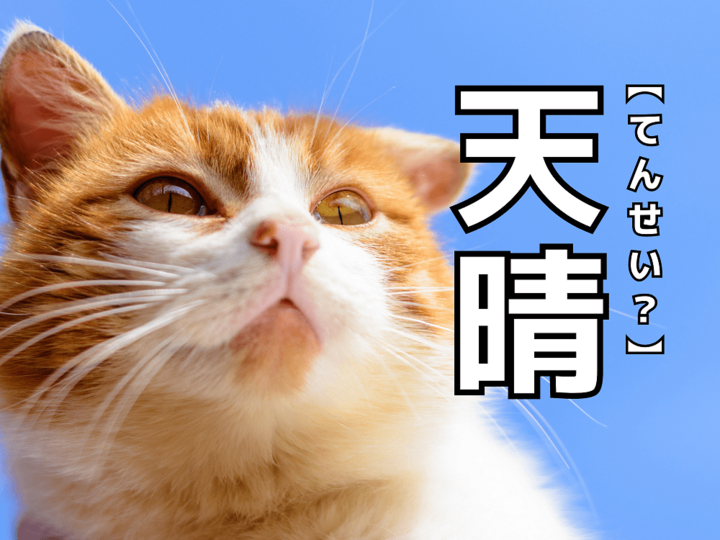 【天晴】を「てんせい」とうっかり読んだら笑われます!【読めないと恥ずかしい漢字クイズ】