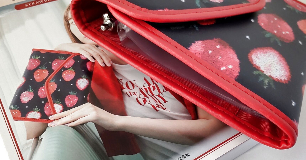 新品未使用【フェイラー】Chestyコラボの小物&入ティッシュポーチ(タグ  