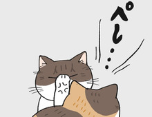 ねこパンチの出しどころ【てらねこミー子の日常】