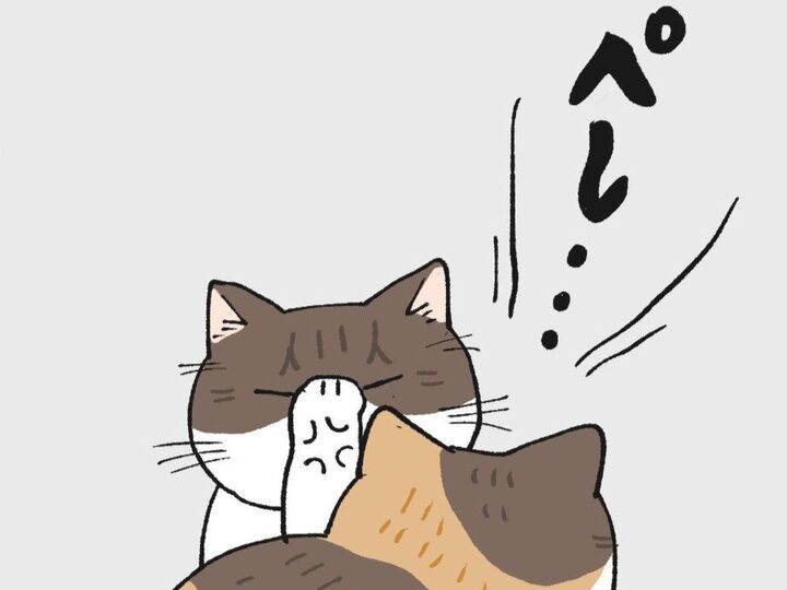 ねこパンチの出しどころ【てらねこミー子の日常】