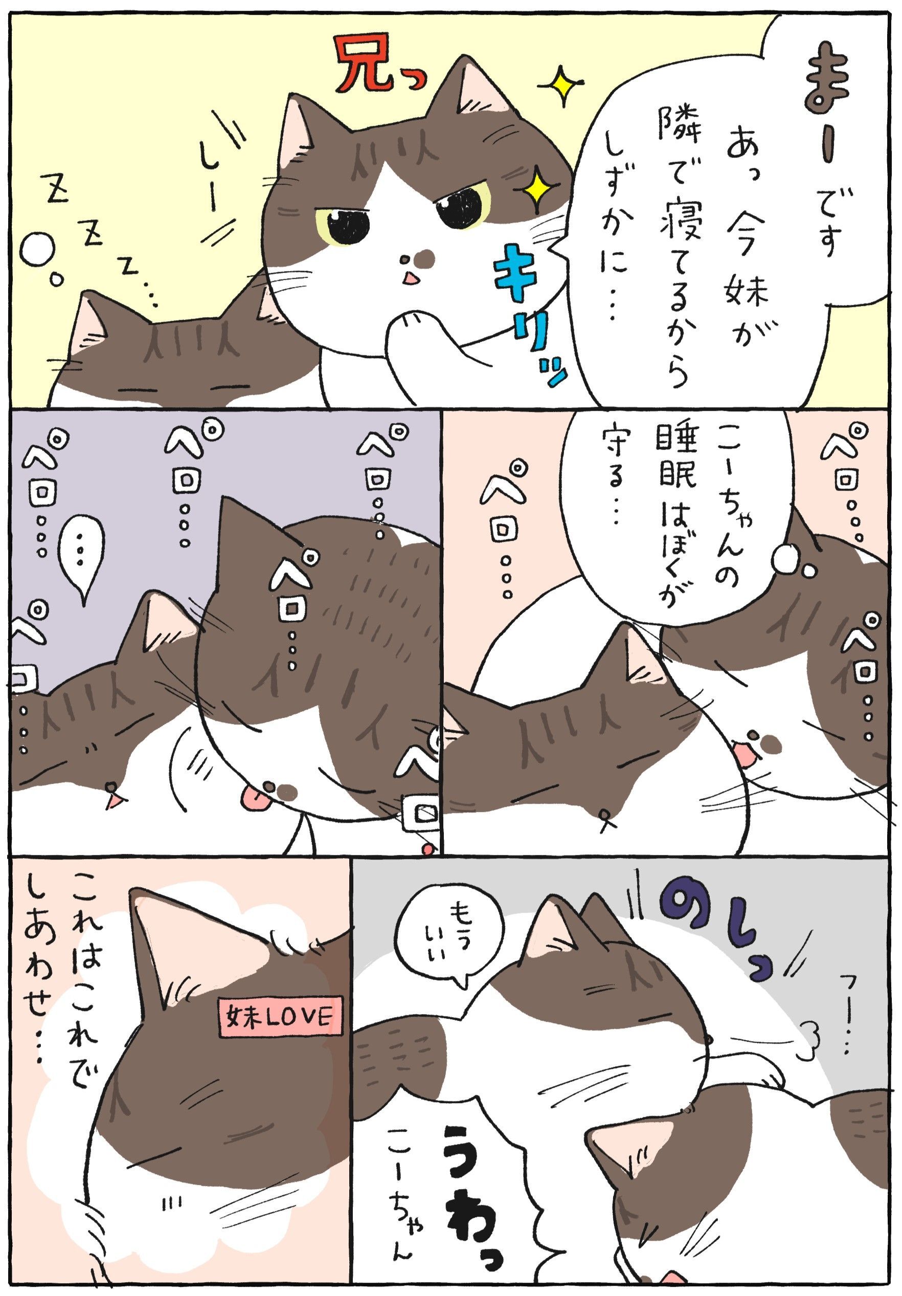 ねこパンチの出しどころ【てらねこミー子の日常】｜暮らしニスタ